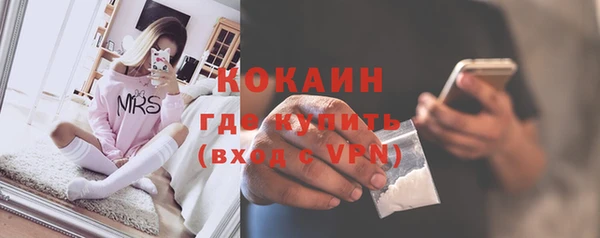 шишки Баксан