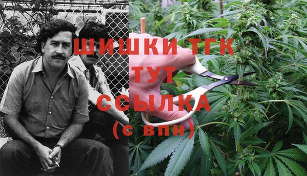 MESCALINE Ачинск