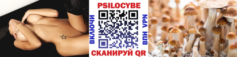 Псилоцибиновые грибы Psilocybine cubensis  купить   Новоалександровск 